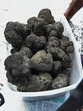 Truffes